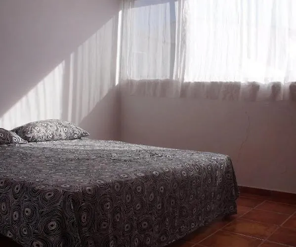 Chayofita طوستا ديل سيلونثيو